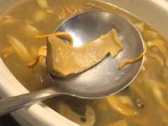 -菌子鲜汤野生菌锅