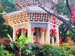 -荔湾湖公园