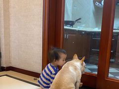 -帕帕拉兹宠物(亚洲旗舰店)