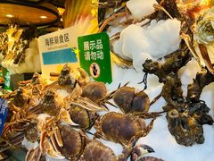 -亚马逊蒸汽活海鲜自助(LCM置汇旭辉广场店)