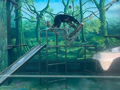-宁波野生动物园