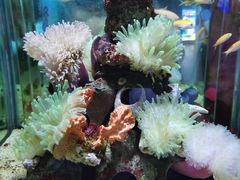 -太平洋海底世界