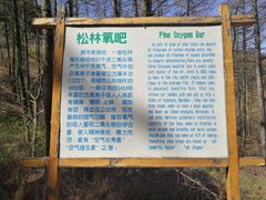 -鲁山国家森林公园