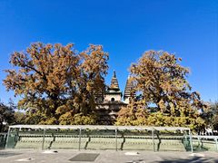 -北京石刻艺术博物馆(五塔寺)