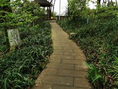 -重庆平顶山公园