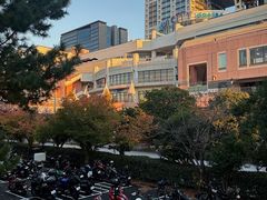 -台场海滨公园船码头