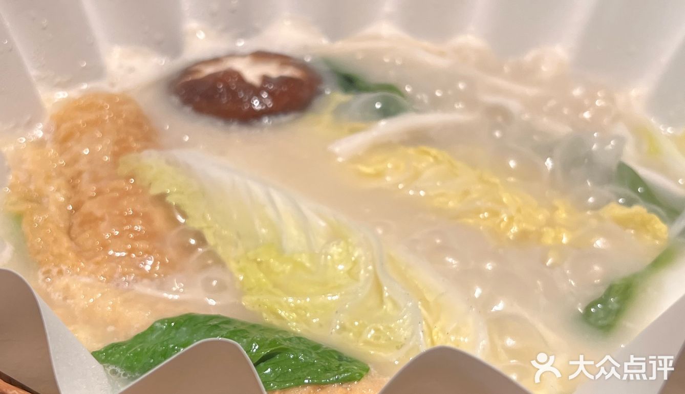  被胖鼓鼓的河豚鱼吸引