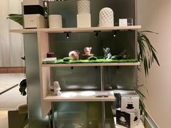 -théATRE 茶聚场(王府中環店)