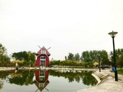 -上美四季动物农场