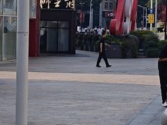 -狮王府淮扬菜(百家湖1912店)
