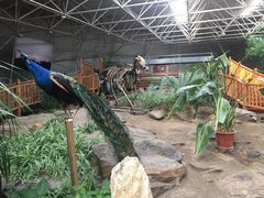-中国第四纪冰川遗迹陈列馆