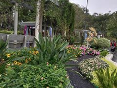 -广州雕塑公园