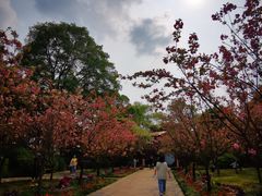 -南山植物园