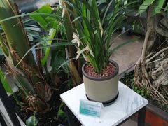 -国家植物园南园