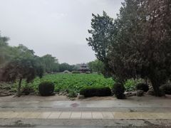 -莲池书院博物馆