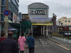 -西归浦每天偶来市场