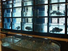 efwf-北大荒淡水鱼馆(秀水广场店)