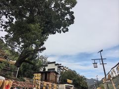 -新安江山水画廊风景区