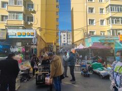 -哈尔滨道外花鸟鱼市场