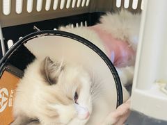 -美联众合24小时·皮肤科·外科·全科诊疗中心(华苑分院)