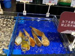 -船歌·鱼水饺青岛菜(闽江二路店)
