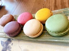 -红叶日料·放题·海胆·定食(星海店)