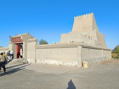 -金塔沙漠胡杨林景区