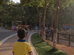 -凤岗南门山森林公园