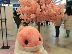 -莉莲蛋挞(日月光店)