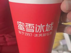 -蜜雪冰城(新北万达一店)