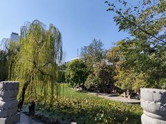 -莲湖公园