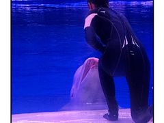 -华夏文旅海洋公园