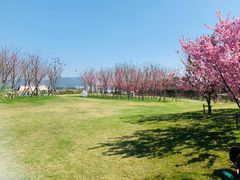 -福建鲤鱼洲酒店