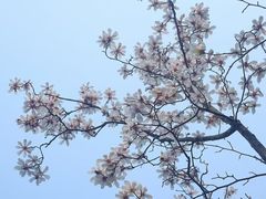 -杭州植物园