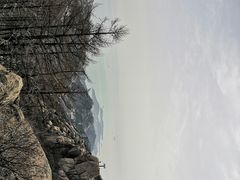 -崂山巨峰游览区