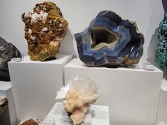 -重庆自然博物馆(新馆)