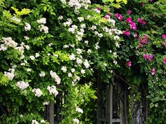 -西山漾湿地公园