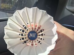 -YONEX苗江运动城(源深店)