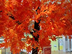 景观位-老湘亲·品鉴湘菜(蔡塘爱琴海店)