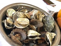 生蚝-宾朋海鲜特色美食餐厅·纯手工鲅鱼水饺(兴海路店)