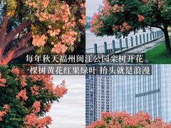 -福屿鲜捞小吃·捞化(福屿总店)