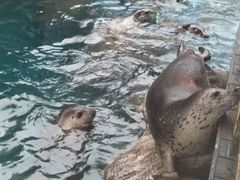 -华夏文旅海洋公园