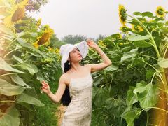 -奥林匹克森林公园北园-停车场