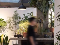 -自由生长植物工作室(深港花卉中心店)