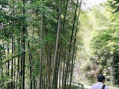 -夏霖九天银瀑风景区