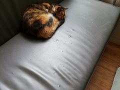 -同济大学本部学苑饮食广场