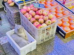 -恒达综合农贸市场(黄山路店)