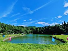 -武陵山森林公园