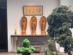 -觀芷隐轩