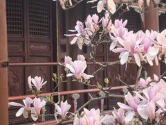 -潭柘寺景区